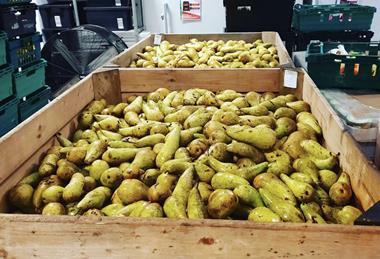 The fresh produce industry already works with food surplus charities