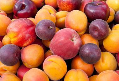 GEN stonefruit AdobeStock_36751504