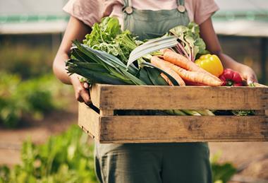 Public concern persists, a year on from the launch of the government’s food strategy