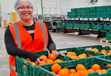 Seeka citrus Keri Keri New Zealand