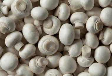 Generic mushrooms top-down Adobe Stock