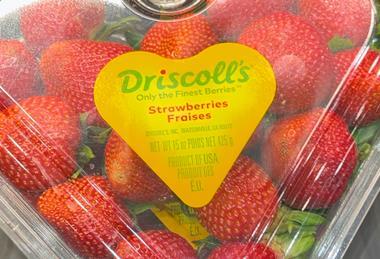 Driscolls strawberries heart clamshell punnet
