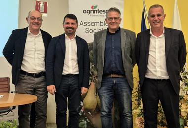 Agrintesa_Assemblea 24 ottobre_da Sx Aldrovandi, Mammi, Castellari, Moretti