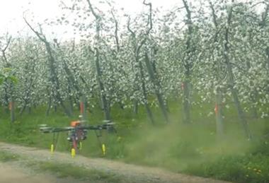 Screen Shot 2018-06-22 at 12.41.51