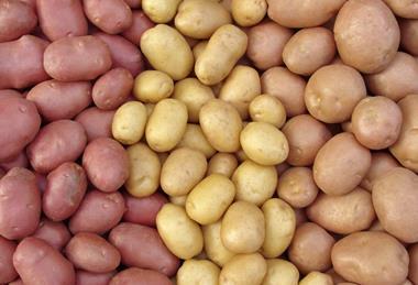 British potatoes were cut to 4p at some retailers over Easter