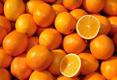 Climate change could see oranges grown in the South East of the UK
