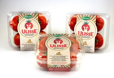 Ulisse tomatoes by Valfrutta Fresco