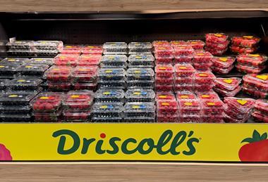Driscolls berries range