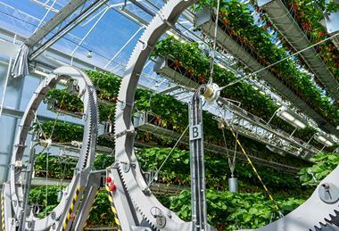 Dyson Farming's vertical, rotating growing system