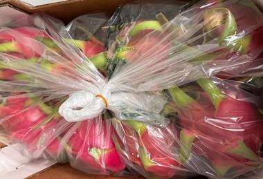 Pitaya in StePacPPC's Xtend packaging