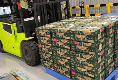 First international cargo shipment from Navi Mumbai Air India