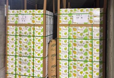 The first shipment of Taiwanese pomelo bound for Malaysia