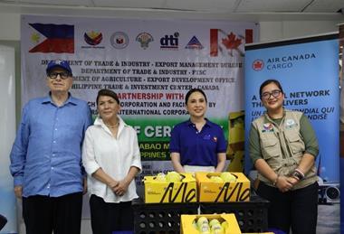 The first shipment of Philippine Carabao mangoes bound for Canada