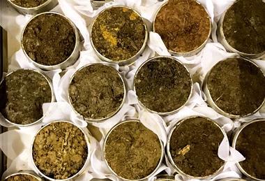 Soil is the focus for the project