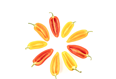 Tribelli pepper Enza Zaden