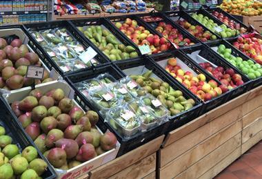 Jumbo apples pears