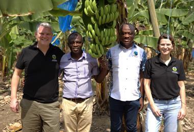 UK Waitrose Fairtrade bananas