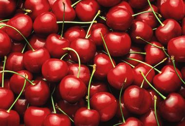 US NWC60038 cherries