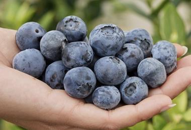 FCM14-057 Fall Creek