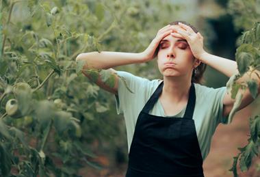 Farmers are experiencing mental health stress