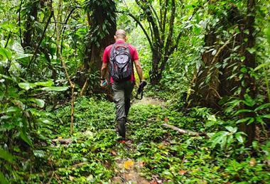 Corbana Cámara trampa Agroforestales 3