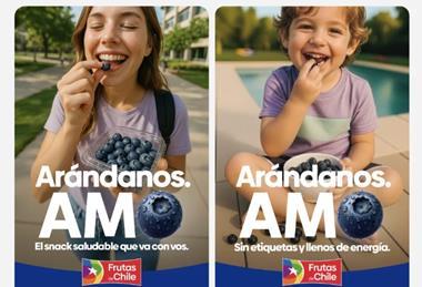 Chilean blueberry promotion in Argentina and Brazil