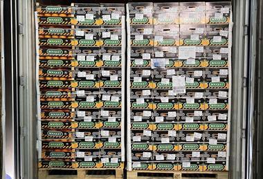 Spanish citrus Bouquet cold storage