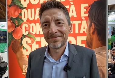 Alegra Mauro Laghi video cover no text