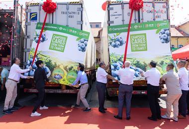 Camposol new blueberry brand in China season launch 2026/27