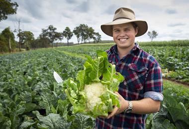 Southern Forests Food Council Gen Fresh campaign