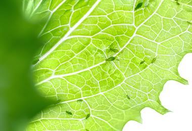 AdobeStock_479410024