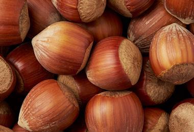 Hazelnuts Adobe Stock