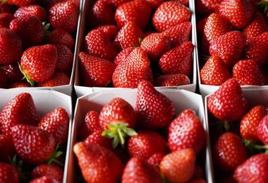 CH CREDIT Swiss Fruit Association Strawberries