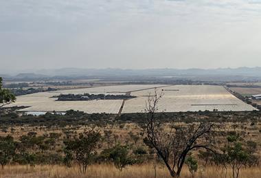 Nyami Berries Ozblu production South Africa