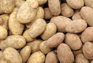 Kartoffeln mit anhaftender Erde