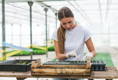 The hunt is on for the best horticulturists under 30