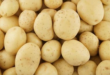 Potatoes Adobe Stock
