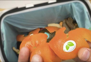 Sinclair Dispose in compost