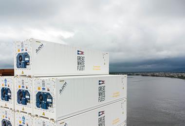Great White Fleet containers