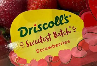 Driscolls Sweetest Batch strawberries