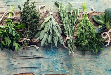 The conference will discuss all things herbs