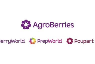 The new AgroBerries logo has adopted BerryWorld's design