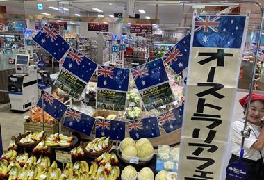 Queensland banana and melon export to Japan