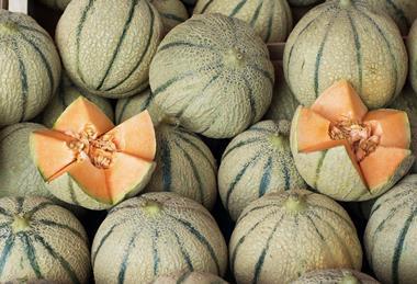 Spanish melons whole and cut Adobe Stock