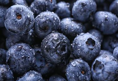 Blueberries Adobe stock