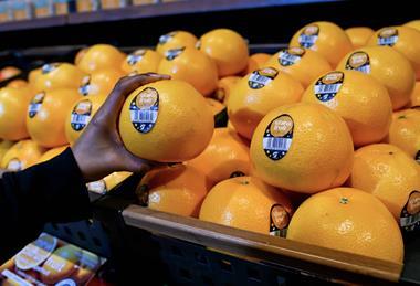 Alizza fruit AMFresh Checkers South Africa