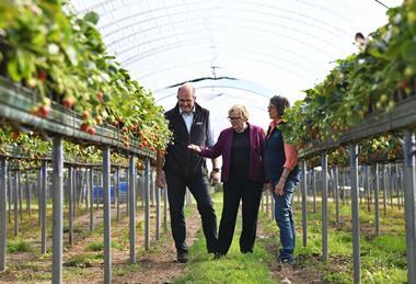 Angela Eagle visits Hugh Lowe Farms. Credit PagePix/NFU.