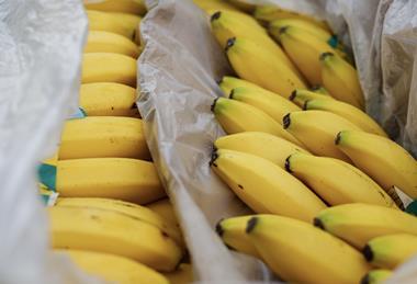 Imported bananas boxed Adobe Stock