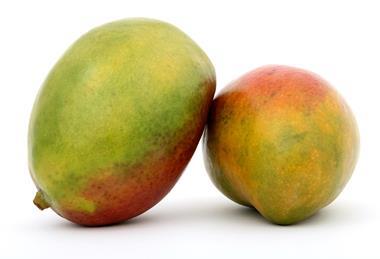 GEN mangoes