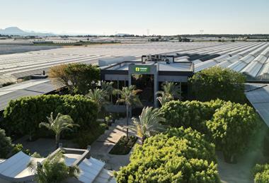 Yuksel Seeds headquarters Turkey